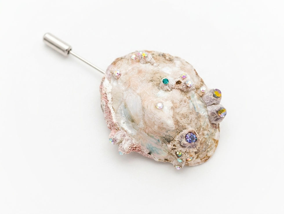 Miniatura: LAPA brooch 