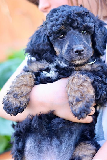 Lexi 6 weeks.jpg