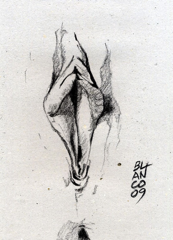 2009-02-25 REDUÏT.jpg