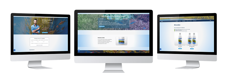 DANS FISH FOOD_Webdesign Vorschau.png