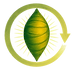 Green Cocoon logo - a green cocoon inside a circular recycling symbol