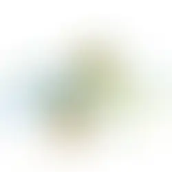 Ingredients of Partnership