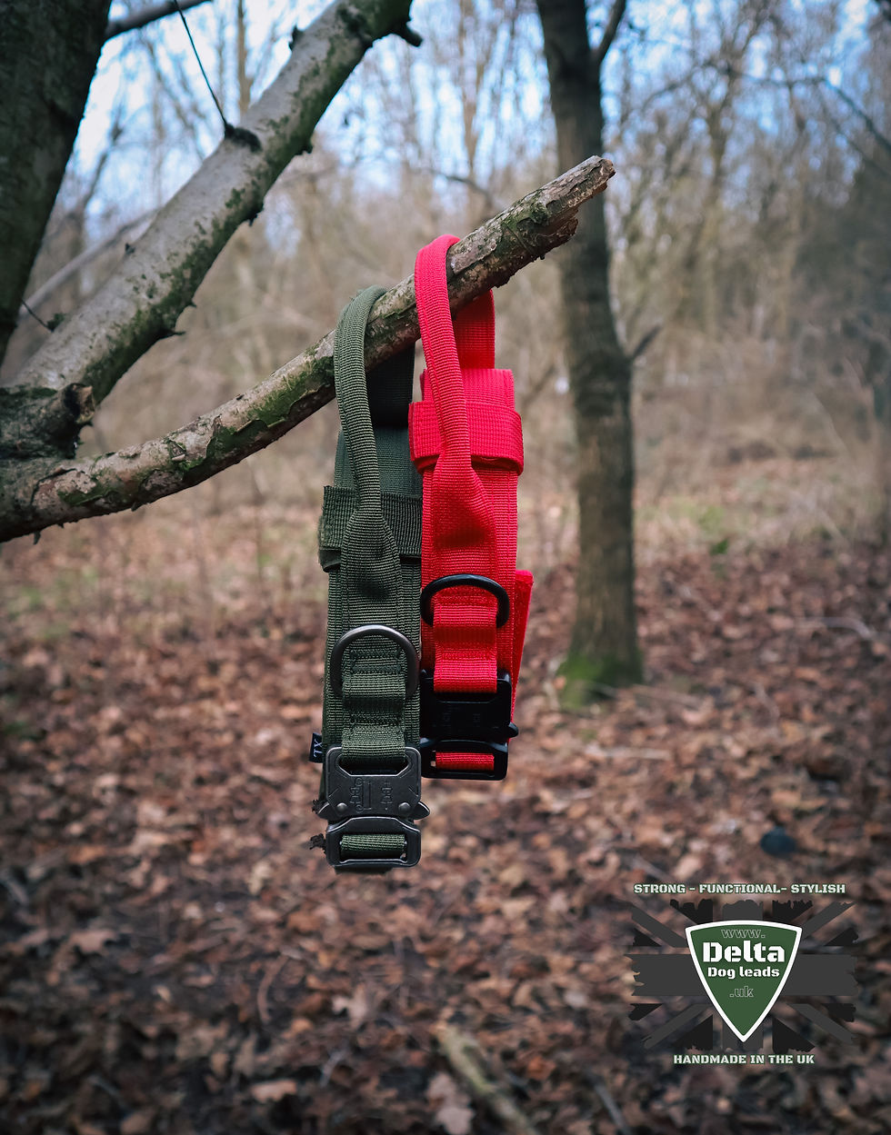Thumbnail: Tactical style dog collar