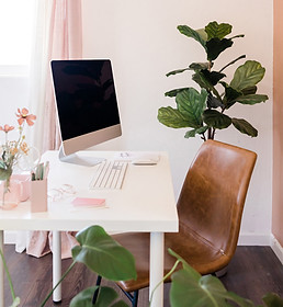 Bright workspace with an iMac on a white desk, pink and gold accents, and lush plants creating an inviting and feminine aesthetic.