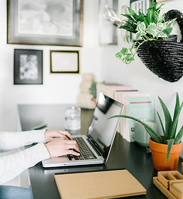 Close-up of hands typing on a laptop in a stylish home office, surrounded by greenery and framed artwork.