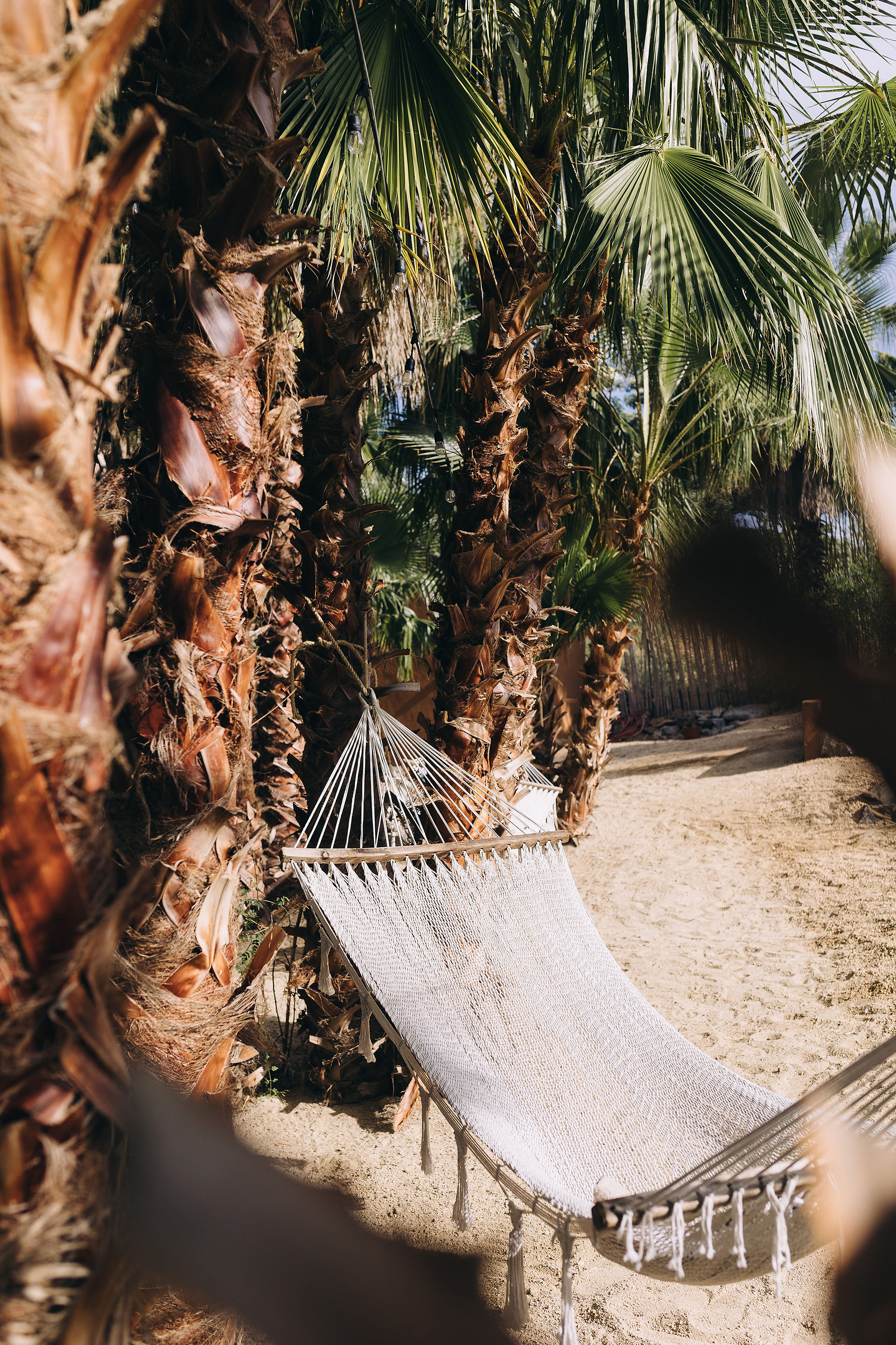 Empty hammock on beach tied up between palm trees