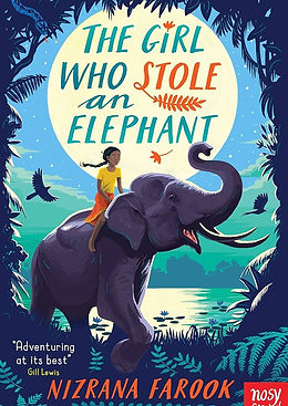 Diverse books for upper keystage 2