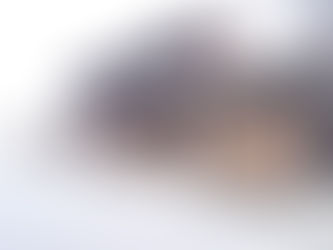 伊勢木綿の工房を訪ねる