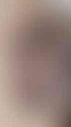 Neo Traditional Tattoo Toronto