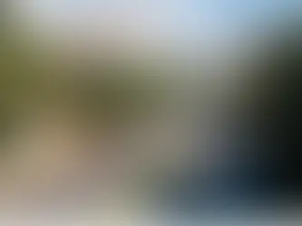 Seguro auto dispara em fevereiro e sobe até 16%, aponta estudo.