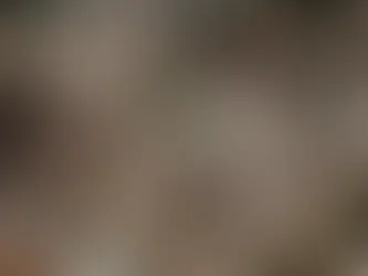 Seguro nas comunidades: moradores optam pela contratação de planos mais completos.