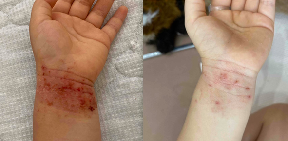 スクリーンショット 2022-10-07 9.39.21.heic