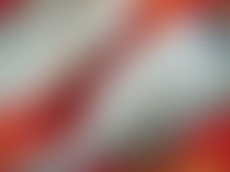 Dorades de Méditerranée