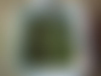 Soupe aux fanes de fenouils et aux courgettes