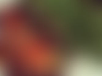 Moussaka et roquette