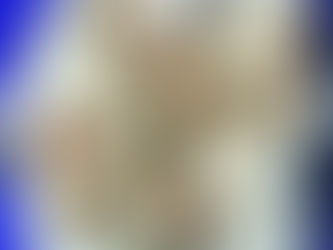 Choux fleurs au Garam Masala