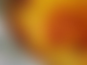 Flan pâtissier sans pâte