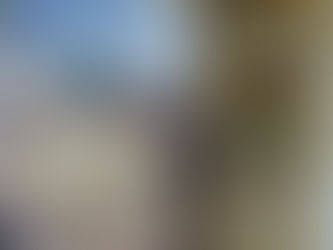 Riz au lait de vache jersiaise