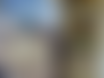 Riz au lait de vache jersiaise