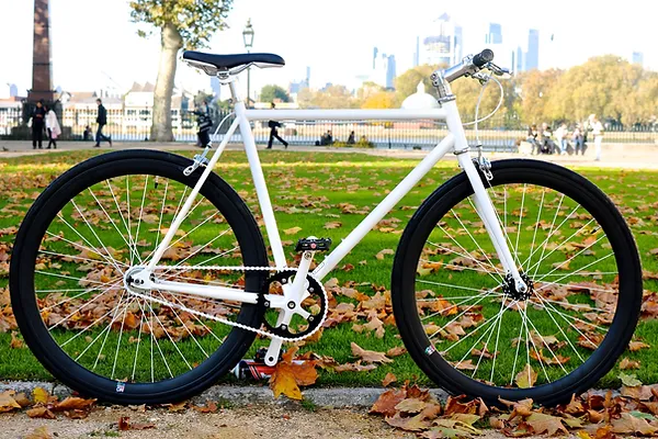 Teman single speed review Outlet