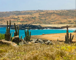 Best aruba tour