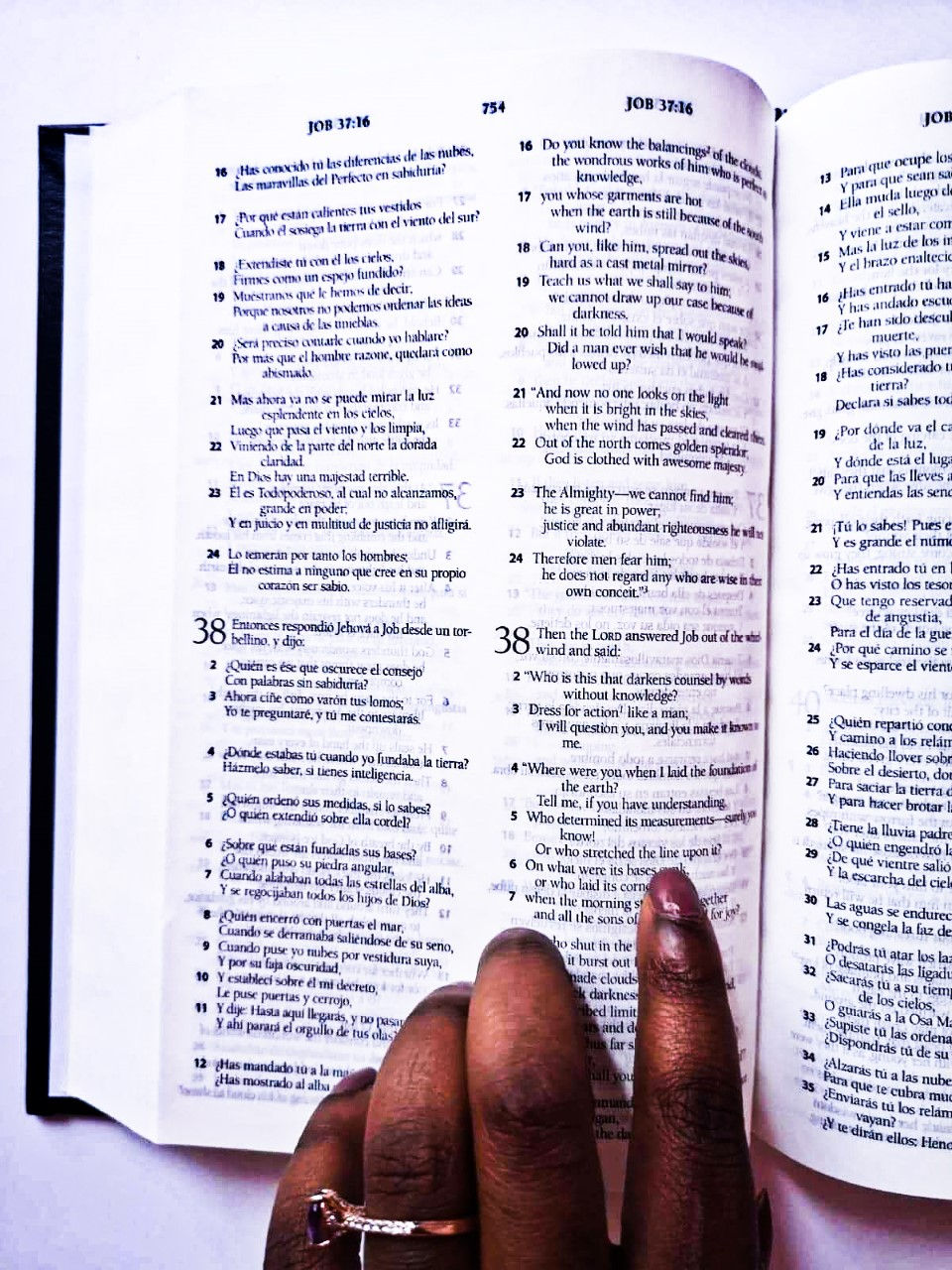 Miniature : Bible Louis Segond Cuire brun