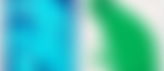 DAVID SHRIGLEY x NICOLAI WALLNER