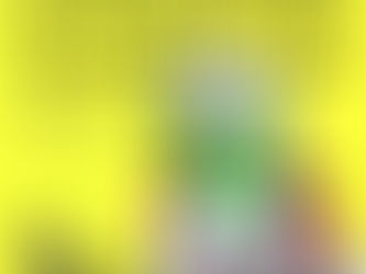 cameron twins first solo show