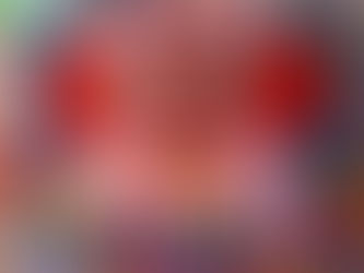 paul insect - allouche gallery