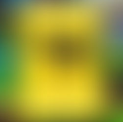 rachel howard - "wet dog"