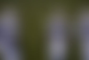 The legacy continues