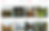 The Website of Airbnb
