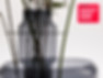 inuk-kollektiv_marluk_vase_epda_winner_instagram.jpg