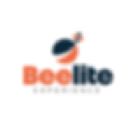 Logo-Beelite-4.png