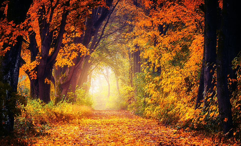 Autumn