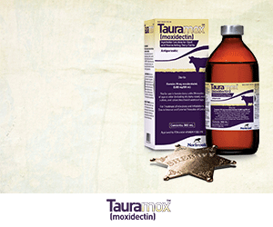 Tauramox Advertisement