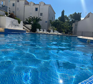 IMG_2966.jpeg
