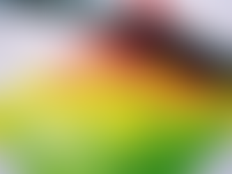 Biện Pháp Thi Công Là Gì và Hướng Dẫn Chi Tiết Dành Cho Người Mới Bắt Đầu