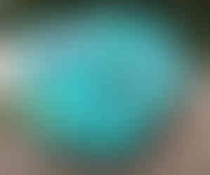 Move Wells van with full vehicle graphics wrap parked outdoors, demonstrating effective business branding and mobile marketing