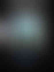 View from inside trailer looking onto back of Move Wells truck with custom vinyl graphics applied.