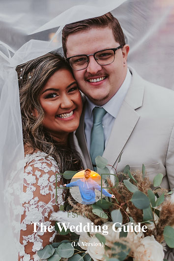 FSP LLC 09 (IA Version)