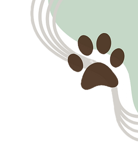 Canva vert + taupe_edited_edited.png