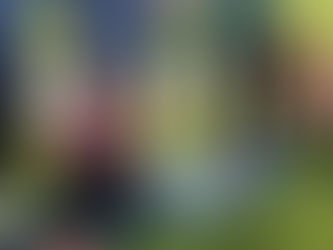 Taller de Psicoterapia Respiratoria® con Carlos Velasco 2 y 3 de marzo 2019, Bruselas