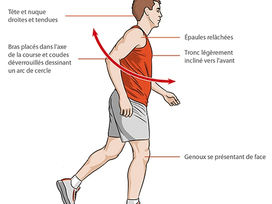 Andar correctamente, mecánica de la marcha