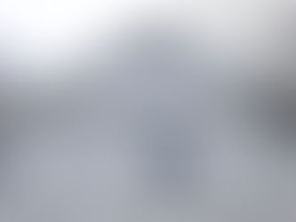 Leverett hoping to bridge political divide in dialogue over dinner, dancing with Kentucky visitors