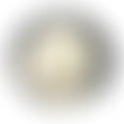 Xanthan Gum: A Weight Loss Ally or Empty Promise?