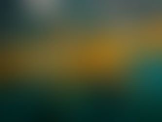 The Power of Seaweed: How Does it Support Thyroid Health?