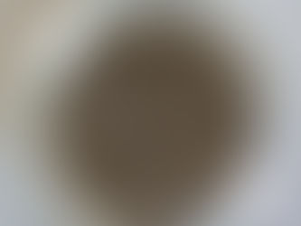 Amazing Health Benefits of Chia Seeds