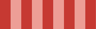 Asset 5.png