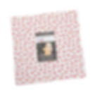 Holiday Love Layer Cake 20750LC Moda Fabrics Precuts 10 Inch squares